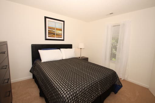 a bedroom with a bed and a dresser