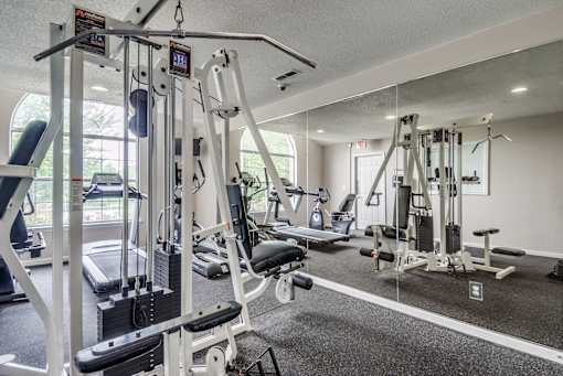 A gym with a variety of equipment including a treadmill, weights, and a bench press.