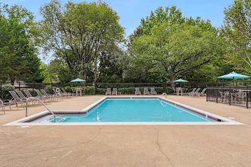 A large swimming pool surrounded by trees and lounge chairs.
