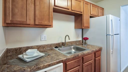 Kitchen sink with dishwasher and refrigerator. Cabinets above all appliances.