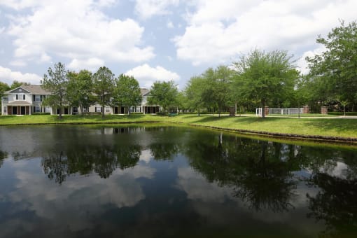 The large Community Lake has calm dark water with shadows of trees that are surrounding the lake. Green grassy banks are on all sides with the residential buildings in the background.