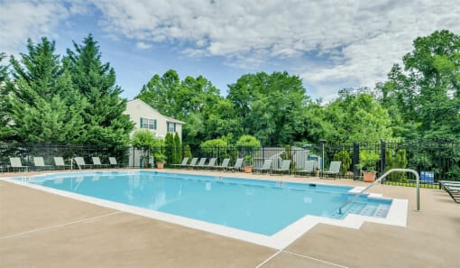 Swimming pool with lounge seating surrounded by native landscaping