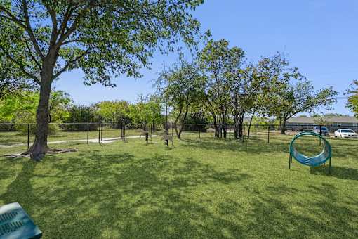 A dog park with a green lawn agility equipment