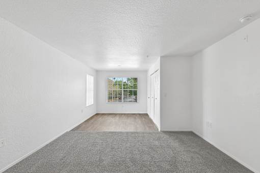 A spacious room with white walls and a grey carpet.