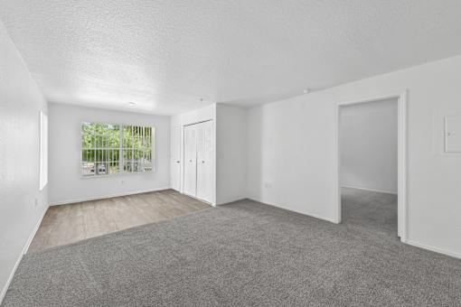 A white room with a grey carpet and a window.
