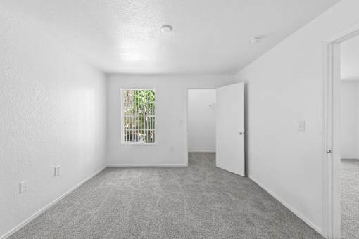 A white room with a carpeted floor and a window with blinds.