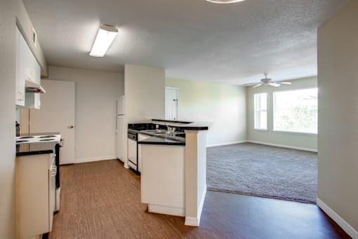 a kitchen and living room in an apartment