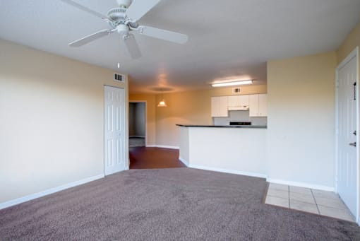 a living room with a kitchen in the background