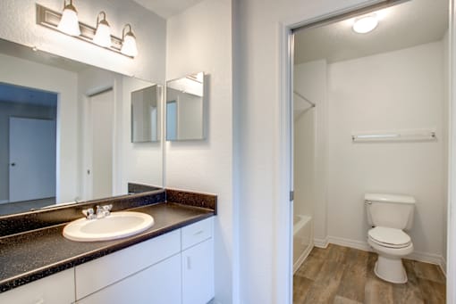 a bathroom with a sink and a toilet