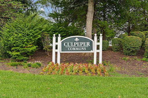 A sign that says Culpeper Commons stands in a garden.