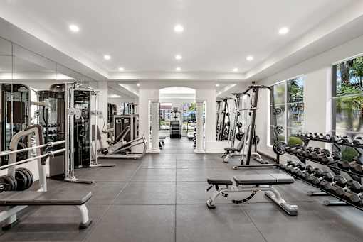 a home gym with weights and cardio equipment