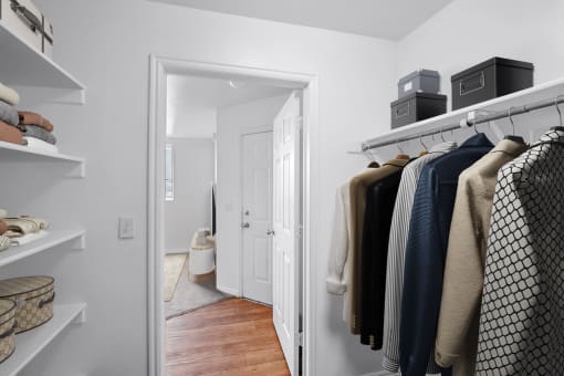 Virtually staged View inside of walk-in closet with hung clothes, white shelves, wood flooring