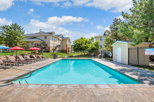 pool with umbrella-covered chairs