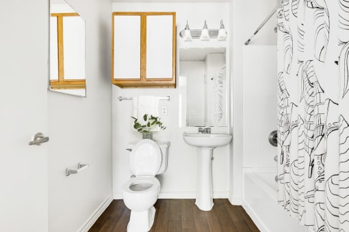 bathroom with hardwood-style flooring and medicine cabinet