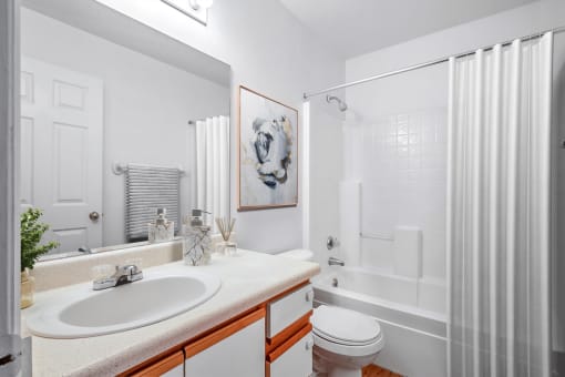 Virtually staged bathroom with shower curtain, wall art, white countertops and sink and bathtub