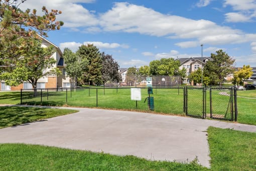 Dog park with gated green grass area