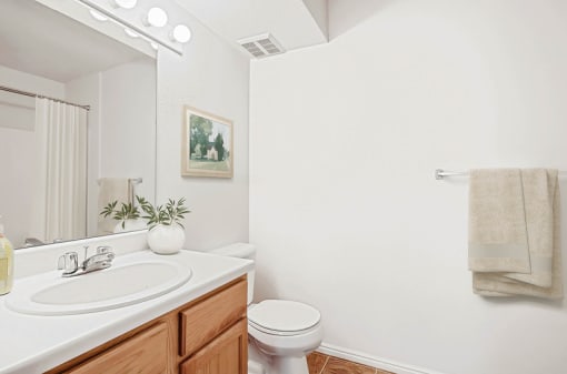 Bathroom with oak vanity and framed mirror at Rose Cove Homes Apartments, Farmington, UT