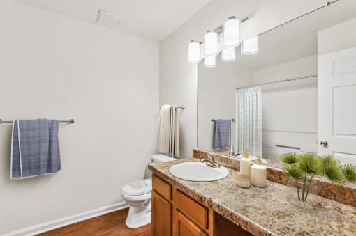 a bathroom with a sink and a toilet