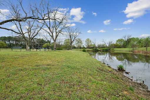 A grassy field with a pond and trees in the background.