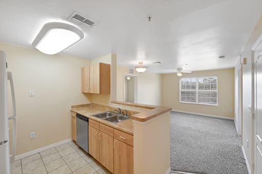 a kitchen with a sink and a dishwasher
