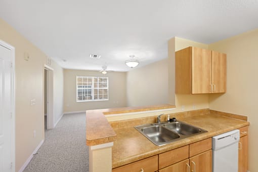 a kitchen with a sink and a dishwasher