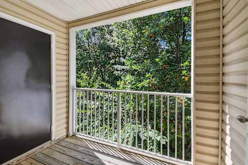 A balcony with a white railing and a view of trees.