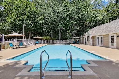 A large swimming pool surrounded by trees and a fence with sun loungers.