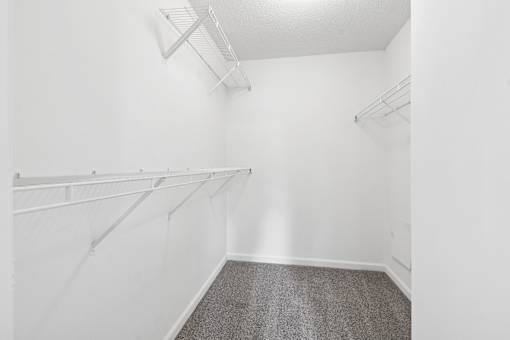 A white closet with a grey carpet.