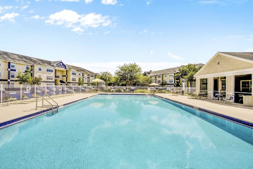 Swimming pool with lounge seating surrounded by native landscape