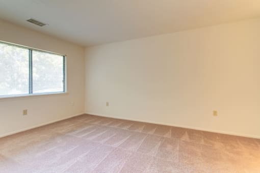 a bedroom with a large window and a beige carpet
