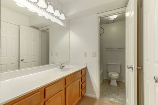 a bathroom with a sink and a toilet
