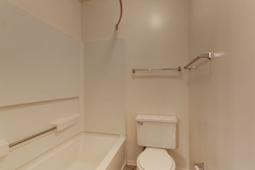 a bathroom with a bathtub and a toilet
