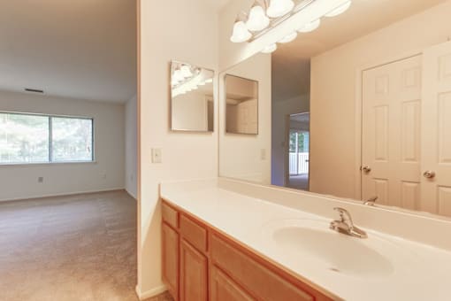 a bathroom with a sink and a mirror