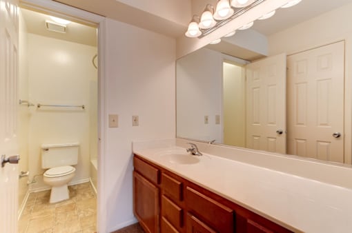 a bathroom with a sink and a toilet