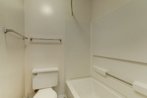 a bathroom with a toilet and a bathtub