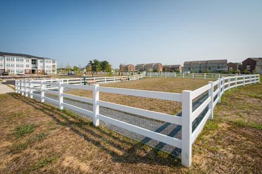 a white fenced in dog park