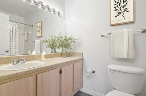 a bathroom with a toilet sink and mirror