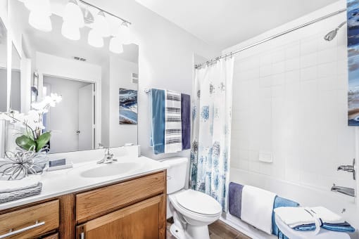 DescriptionBathroom with large mirror, countertop, toilet, and a tub and shower combo with hardwood-style flooring and modeled with towels and accessories.