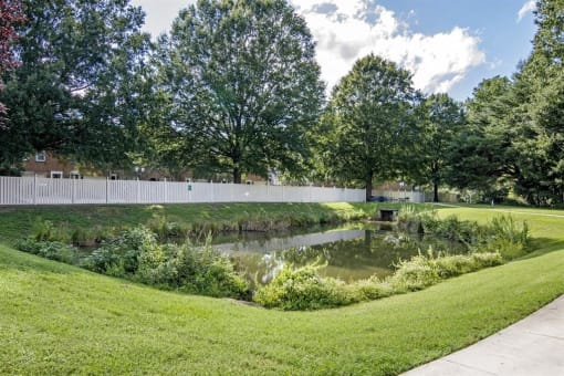 Waterfront View with Trees Behind White Picket Fence