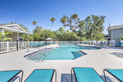 Swimming pool with lounge seating surrounded by native landscaping