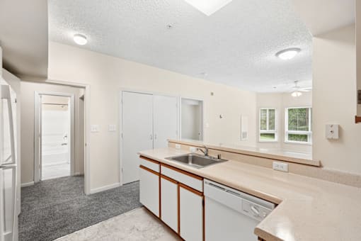 A kitchen with a sink and a window.