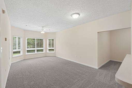 A spacious room with carpeted floor and a window with blinds.
