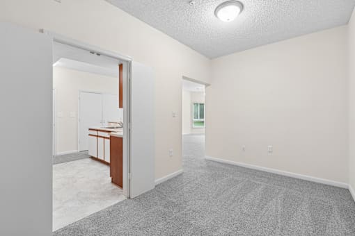 A room with a carpeted floor and a doorway leading to another room.
