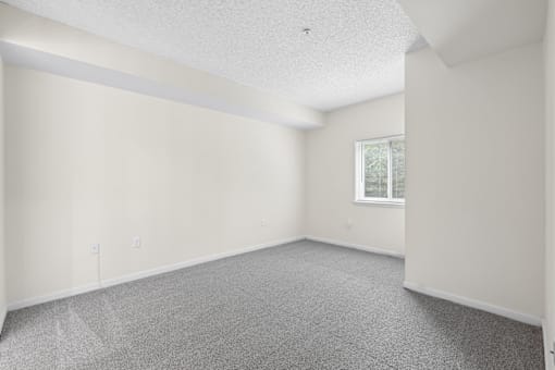A spacious room with a window and carpeted floor.
