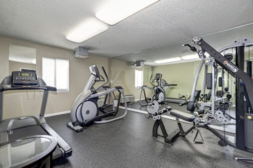 A gym with treadmills, elliptical machines, and weight machines.
