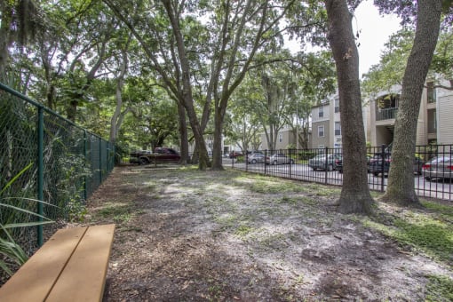Community dog park with trees and a bench