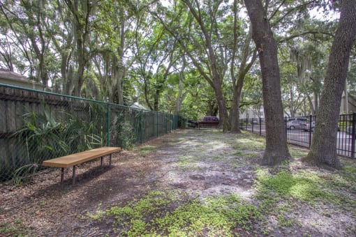 Community dog park with trees and a bench