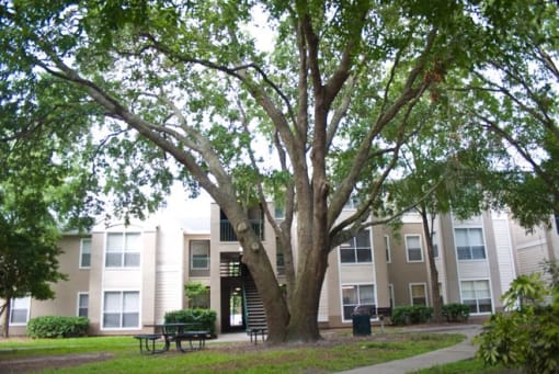 a large tree in front of an apartment building