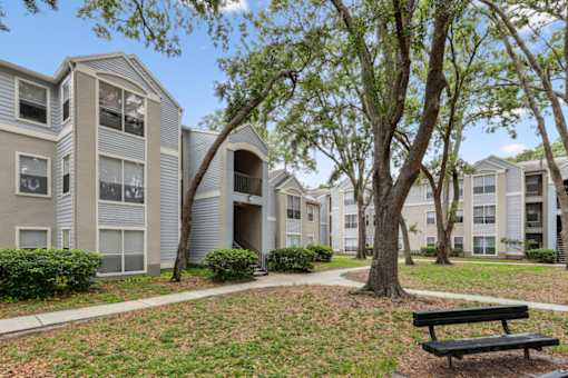 A tree stands in front of apartment buildings.
