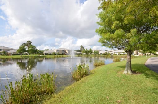 Waterfront View With Trees at River Park Place Apartments, Vero Beach, 32962